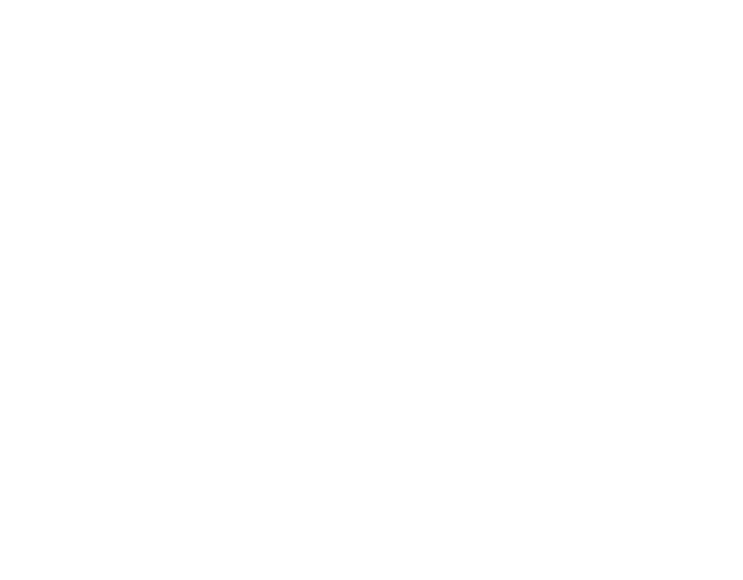 Twin Systems