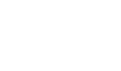 Twin Systems logo